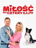 У любви четыре лапы